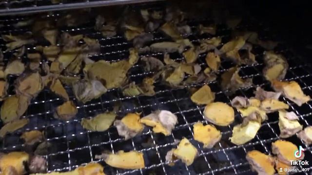 Turmeric drying in dehydrator смотреть онлайн