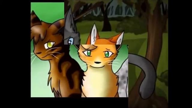 История Белки смотреть онлайн