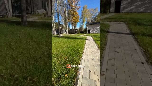 Устройство газона