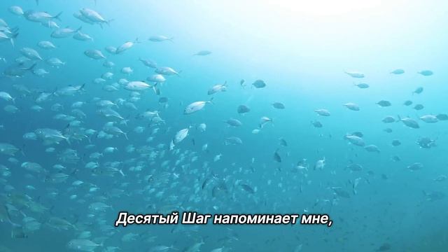 "Сосредоточиться на себе". 24 ноября. Мужество меняться. Ежедневник для созависимых. смотреть онлайн