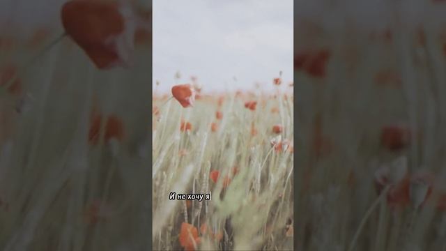 Николай Заболоцкий, "Некрасивая девочка" смотреть онлайн