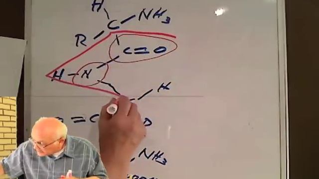Protein alpha helix смотреть онлайн