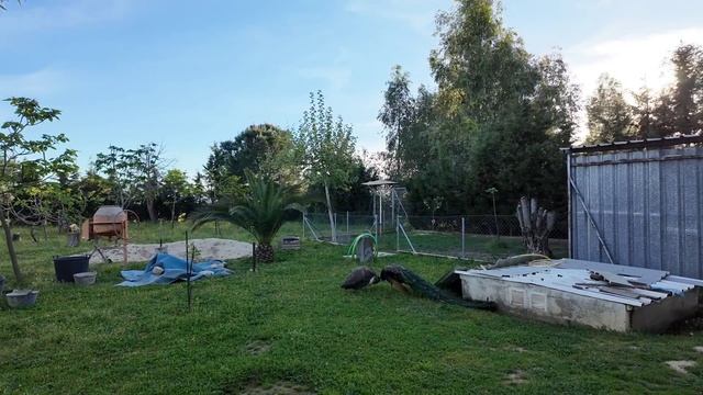 Самое главное это доверие. Сложный день.Еще один день из нашей жизни . смотреть онлайн