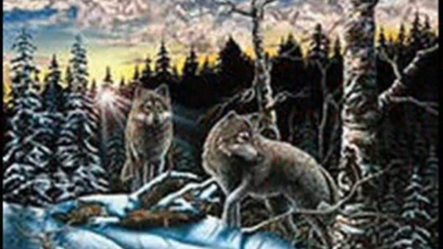 volki смотреть онлайн