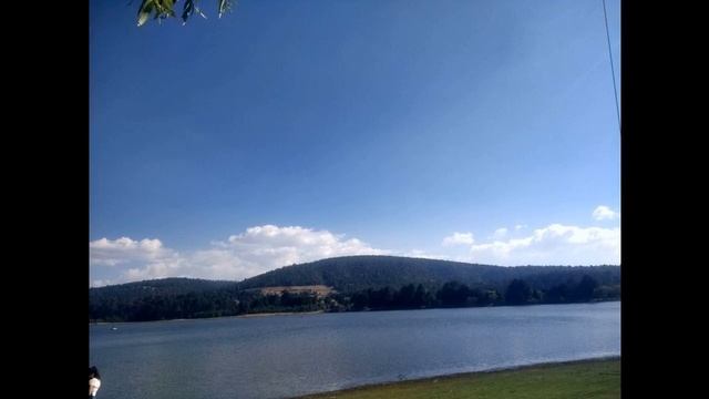 Botulism - Wikipedia Article Audio смотреть онлайн