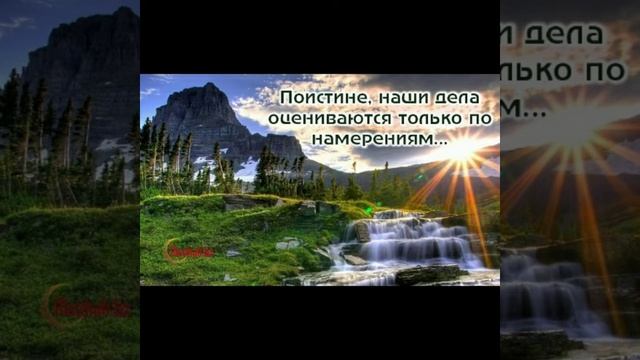 Дела оцениваются только по намерениям... смотреть онлайн