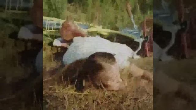 Я в отпуске😅😂🤣 смотреть онлайн