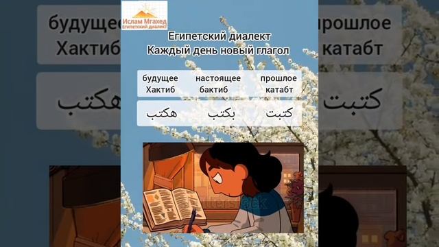 глагол писать #арабский #египет #шармэльшейх #египетхургада #языке #арабскийязык #егэрусскийязык смотреть онлайн