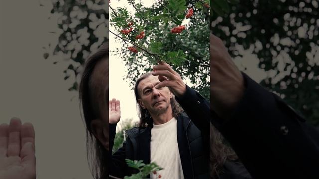 Берёзе #shrots смотреть онлайн