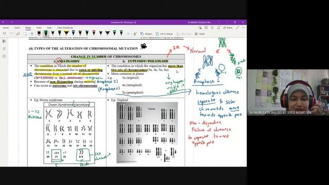 Tutorial 2 Week 13 Chromosome Number Alteration смотреть онлайн