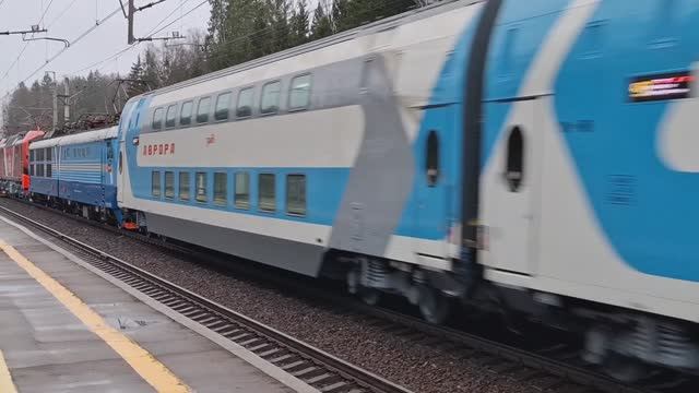 Поезд Аврора (обкатка) и ЭП2К 168, ЭП2К 500 и ЧС6 019 проезжают станцию Радищево 17.11.2024 смотреть онлайн