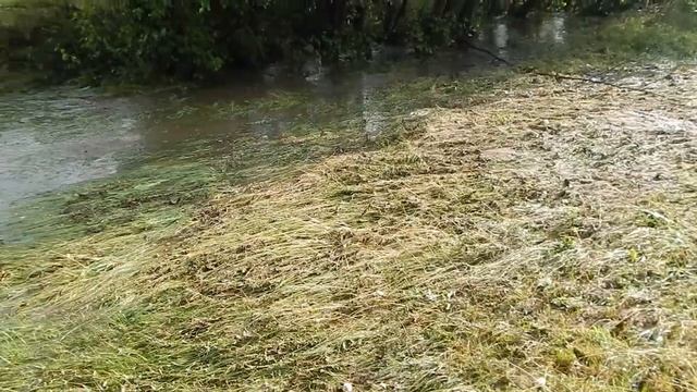 Река на сегодняшний день - село Уткалево смотреть онлайн