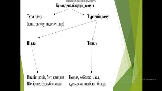 Жануарлардағы онтогенездің тура және жанама типтері. 7 сынып, Шепте гимназиясы смотреть онлайн