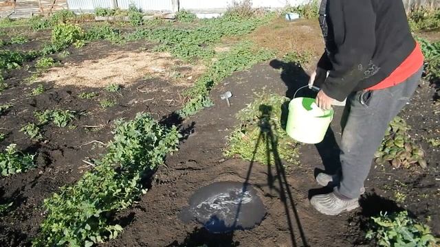 Укрытие пятилитровой ёмкостью на зиму смотреть онлайн