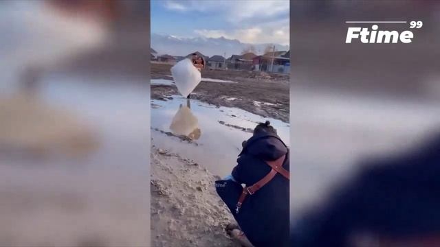 Epic fail смотреть онлайн