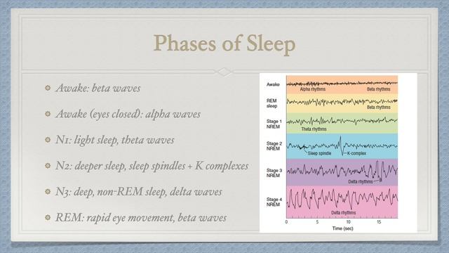 Delta-Sleep-Inducing Peptide (DSIP): the World's Most Underrated Peptide? смотреть онлайн