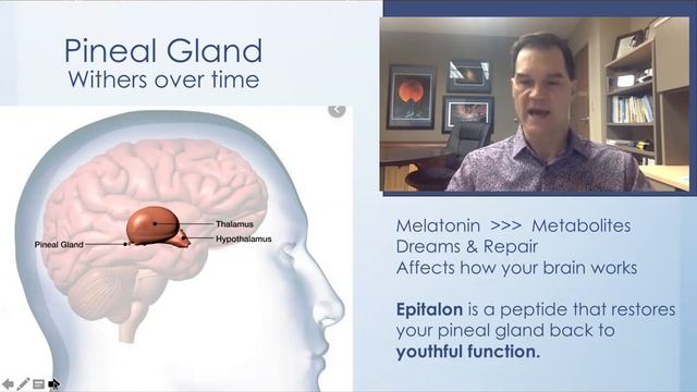 Peptides - Epitalon & Sleep