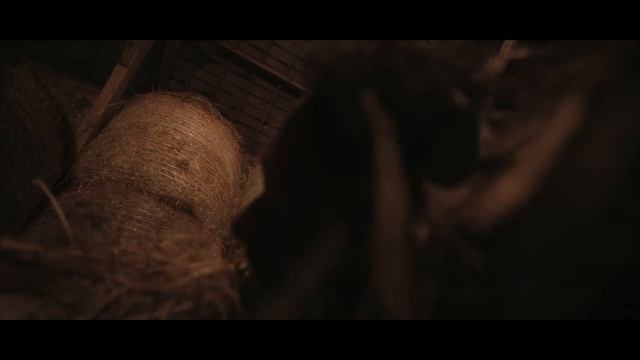 Furax Barbarossa - MONA LISA смотреть онлайн