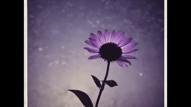 Радио Сияние & Suno AI - ЯБТП