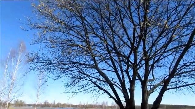 Татьяна Царенко(Похмелкина)- ,,Нас создавали сказки...,, смотреть онлайн