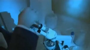 Как слова влияют на структуру воды