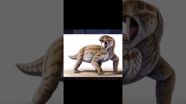 o herbívoro do permiano que possuía dentes de sabre: o curioso tiarajudens смотреть онлайн