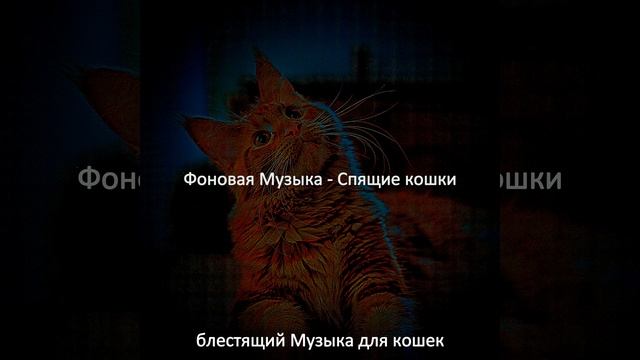 Музыка (Отдыхающие кошки) смотреть онлайн