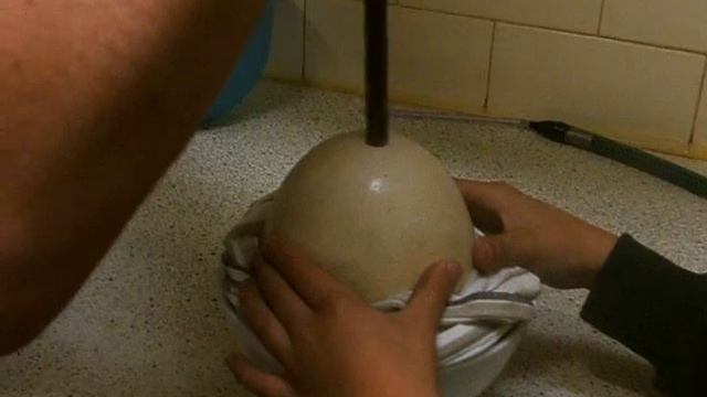 Drilling an ostrich egg смотреть онлайн