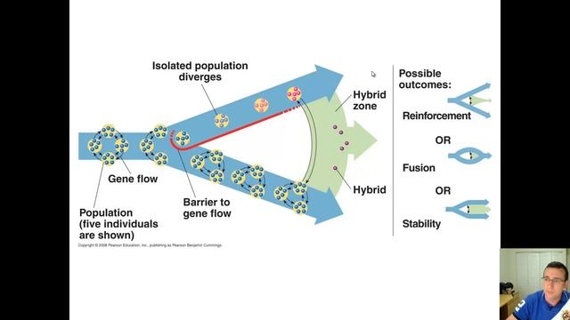 Hybrid Zones & Speciation смотреть онлайн