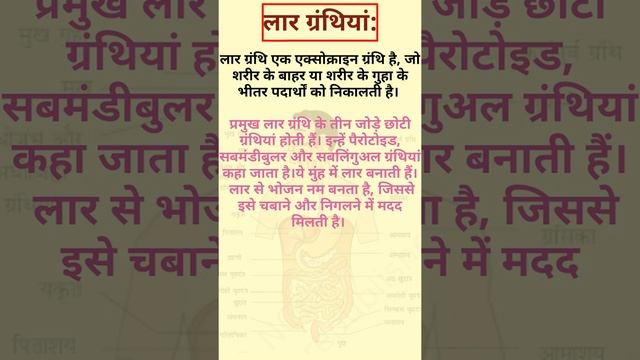 लार ग्रंथियां और उनमें एंजाइम ( मानव पाचन तंत्र (Digestive System) Part-5