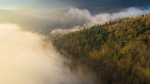 Скрытые чудеса природы