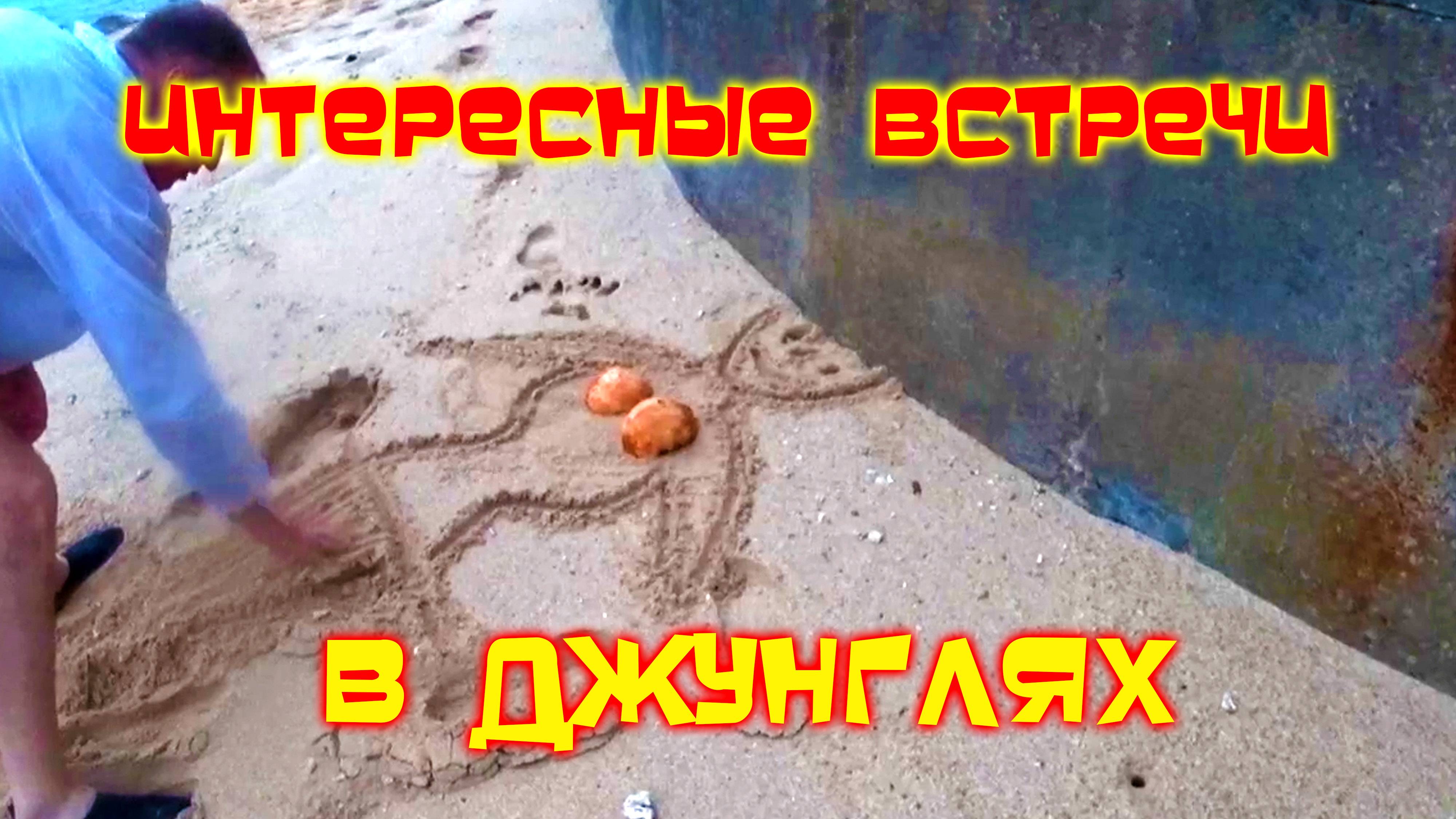 ЗАЧЕМ ехать в Шри Ланку смотреть онлайн