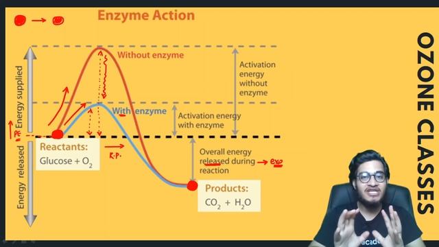 Enzyme Decreases Activation Energy, BUT HOW? | Enzyme Kinetics | Morning Bytes смотреть онлайн