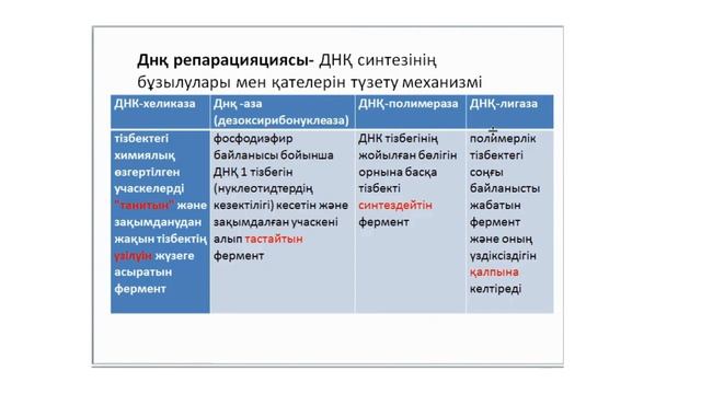 ДНҚ репарациясы, рекомбинациясы, репликациясы және мутациялары 11 сынып смотреть онлайн