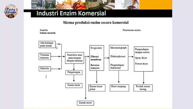 Industri Enzim Komersial dan Pembuatan Sirup Fruktosa смотреть онлайн