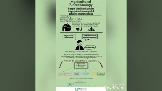 Biotechnology diagram смотреть онлайн