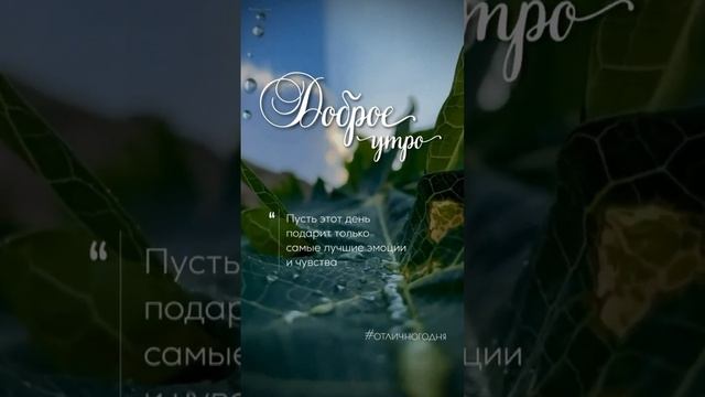 Доброе утро! Здоровья, счастья и любви!❤ смотреть онлайн