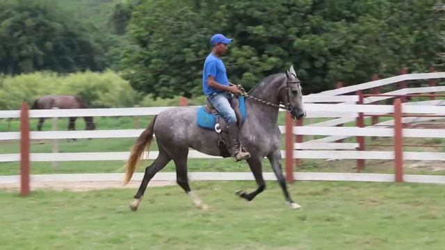 Lote 16 Fábula Turvo 50% смотреть онлайн