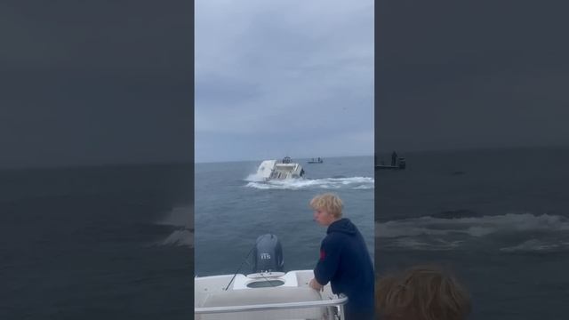 Кит перевернул рыболовное судно в гавани Портсмута у побережья Нью-Гэмпшира смотреть онлайн