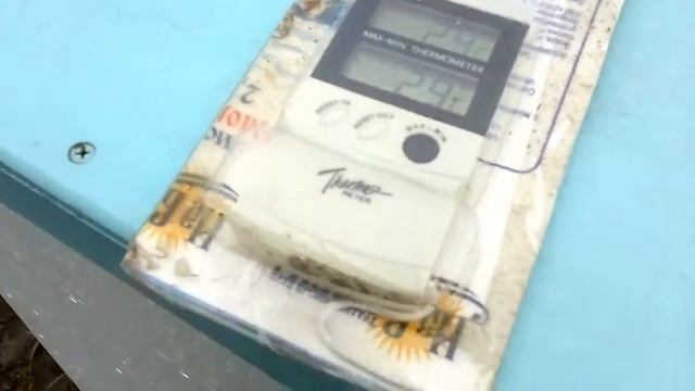 Температуры в улье смотреть онлайн