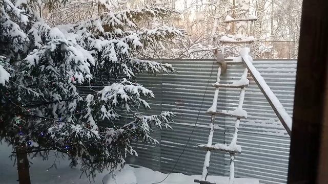 бельчонку холодно,но кушать хочется. смотреть онлайн