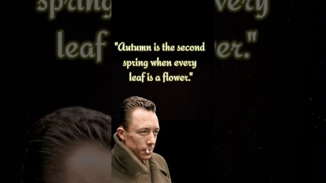 Albert Camus' Amazingly Accurate Quotes about Life | Wise Quotes смотреть онлайн