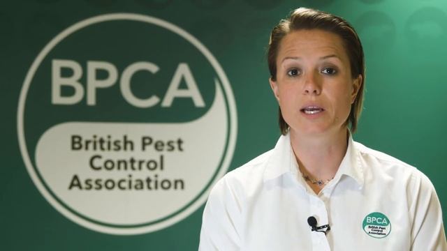 A-Z of Pests: Pest Advice for Grey Squirrels смотреть онлайн