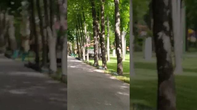 парк Горького и ручные белки. смотреть онлайн