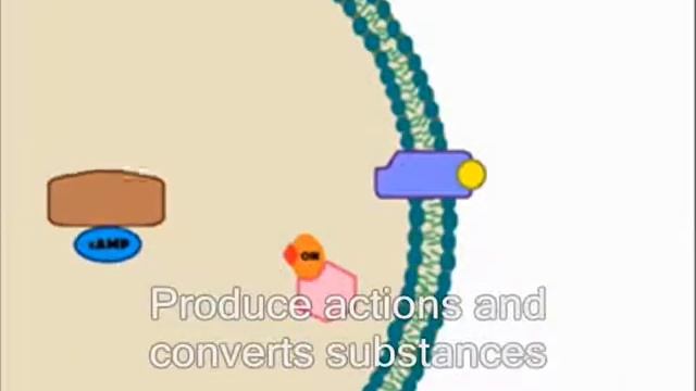 Signal Transduction song смотреть онлайн