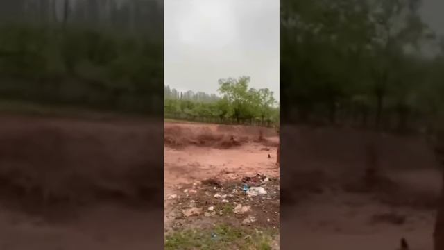 👍Сели Калон 😔Дар Истиклол Гусфандора Сел Бурд 26.05.2024 смотреть онлайн