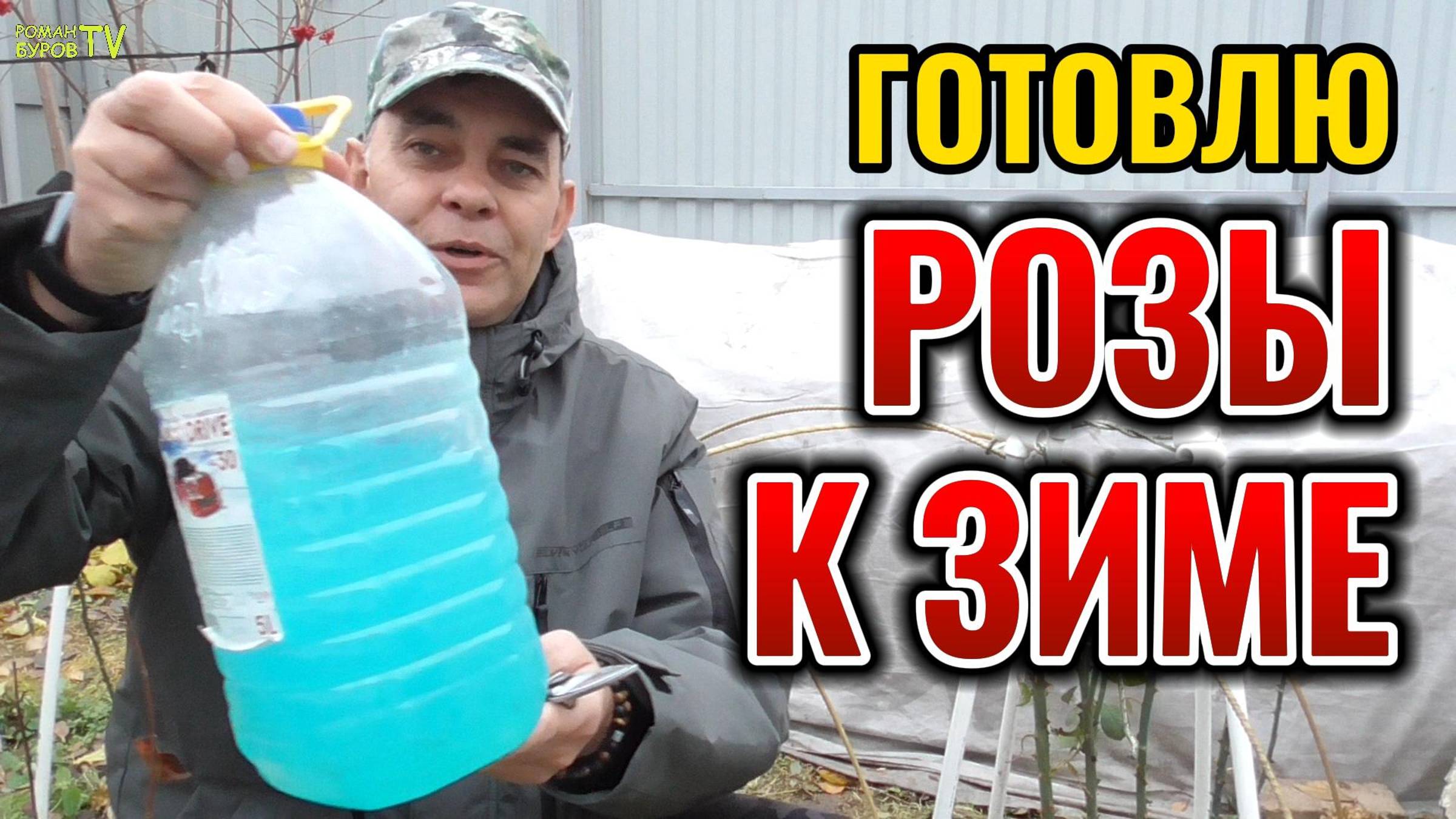 ✅ ГОТОВЛЮ РОЗЫ К ЗИМЕ ❄ - ВОТ ЧТО НУЖНО 🌹 РОЗАМ В НОЯБРЕ - 5 СОВЕТОВ ПО ПОДГОТОВКЕ РОЗ К ЗИМОВКЕ 🍂 смотреть онлайн