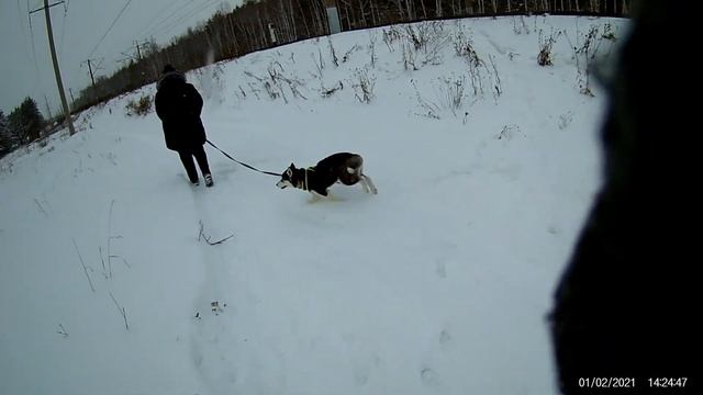 Булочка на улочке !!!)) смотреть онлайн