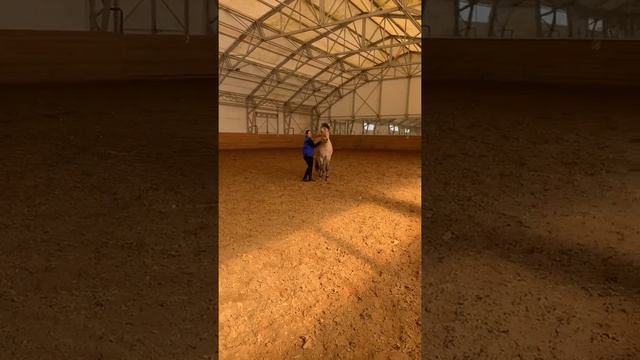 «Виртуальная корда» смотреть онлайн