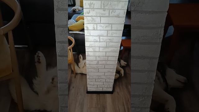 Тюленеведение смотреть онлайн